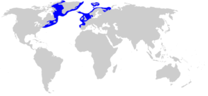 ニシオンデンザメの分布図