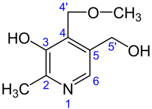 ギンコトキシンの構造図