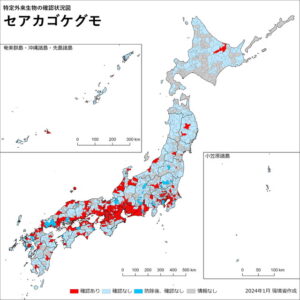 2024年1月時点のセアカゴケグモ確認地